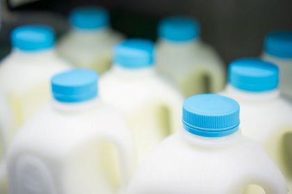 Under the proposed scheme, labelling will introduce the full traceability of dairy products. Photo: Shutterstock Under the proposed scheme, labelling will introduce the full traceability of dairy products. Photo: Shutterstock