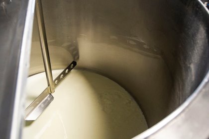 Sales to major dairy export markets have dried up as the food-service sector shut downs are taking place on a global scale. Photo: Ronald Hissink Sales to major dairy export markets have dried up as the food-service sector shut downs are taking place on a global scale. Photo: Ronald Hissink