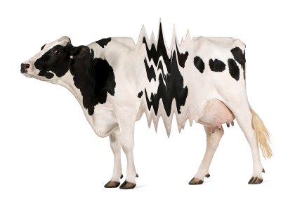 Photo: Trouw Nutrition Photo: Trouw Nutrition