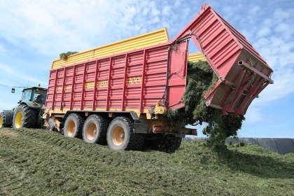 A lot of silage is required on the two farms. Photo supplied. A lot of silage is required on the two farms. Photo supplied.