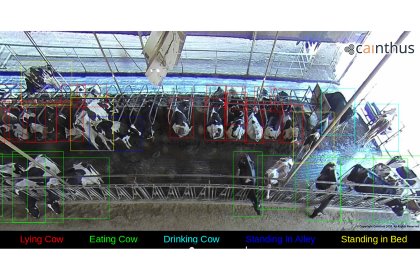 The Alus technology relies on a smart camera system that observes each pen 24 hours a day, 7 days a week, 365 days a year. Photo: Cainthus The Alus technology relies on a smart camera system that observes each pen 24 hours a day, 7 days a week, 365 days a year. Photo: Cainthus