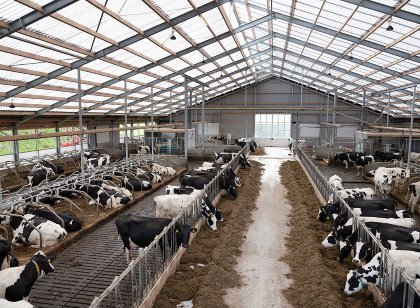 Heating, cooling and ventilation, flooring are just some factors that impact farm and farmer. Photo: Hans Prinsen Heating, cooling and ventilation, flooring are just some factors that impact farm and farmer. Photo: Hans Prinsen