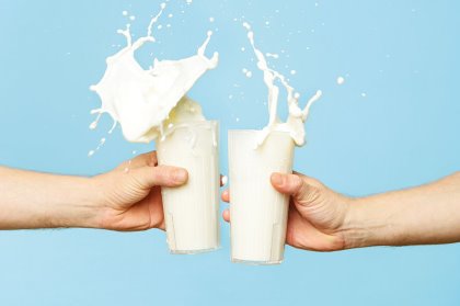 Milk production depends directly on metabolisable energy and protein available to the animal, after the need for growth and maintenance. Photo: Biomin Milk production depends directly on metabolisable energy and protein available to the animal, after the need for growth and maintenance. Photo: Biomin