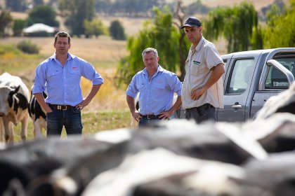 Daniel Abernethy, genetics manager ANZ (left) and Jake Bourne, genetics specialist South Region (centre) of Zoetis during a visit at the farm of Scott McKillop (right) in Dederang in the Kiewa Valley, Victoria, Australia. Photo: Zoetis Daniel Abernethy, genetics manager ANZ (left) and Jake Bourne, genetics specialist South Region (centre) of Zoetis during a visit at the farm of Scott McKillop (right) in Dederang in the Kiewa Valley, Victoria, Australia. Photo: Zoetis