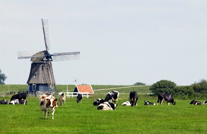 Photo: Wick Natzijl Photo: Wick Natzijl