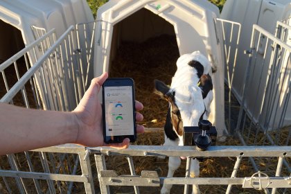 The Calf Monitoring System from Futuro Farming GmbH, Regensburg scooped the Animal Welfare Award at Eurotier 2021. Photo: Futuro Farming GmbH. The Calf Monitoring System from Futuro Farming GmbH, Regensburg scooped the Animal Welfare Award at Eurotier 2021. Photo: Futuro Farming GmbH.