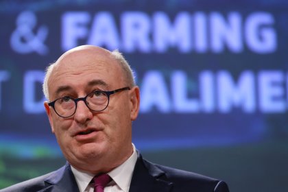 Phil Hogan, the European Commissioner for Agriculture and Rural Development. Photo: EPA / Olivier Hoslet Phil Hogan, the European Commissioner for Agriculture and Rural Development. Photo: EPA / Olivier Hoslet