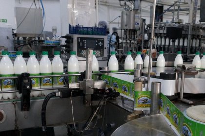 By 2023, Russia is set to launch new milk farms with a total designed production performance of 1.2 million tonnes of milk per year. Photo: Vladislav Vorotnikov By 2023, Russia is set to launch new milk farms with a total designed production performance of 1.2 million tonnes of milk per year. Photo: Vladislav Vorotnikov