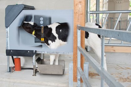 Holm & Laue’s HygieneStation mixes and prepares a fresh milk diet, at the right temperature, for each individual calf, and automatically cleans all tubes and hoses. Photo: Holm & Laue Holm & Laue’s HygieneStation mixes and prepares a fresh milk diet, at the right temperature, for each individual calf, and automatically cleans all tubes and hoses. Photo: Holm & Laue