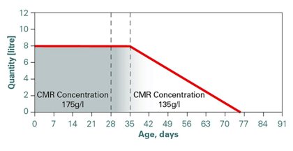 Higher milk yield through calf metabolic programming Higher milk yield through calf metabolic programming