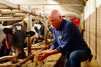 "We separate the manure, thicken and dry it and use it for bedding for the cows," says van Velde. "We separate the manure, thicken and dry it and use it for bedding for the cows," says van Velde.