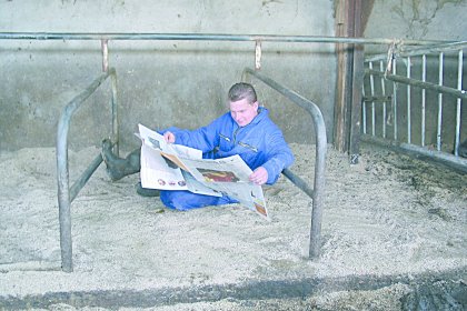 Sufficient lighting means you should be able to read easily anywhere in the shed. Photo: Roodbont Sufficient lighting means you should be able to read easily anywhere in the shed. Photo: Roodbont