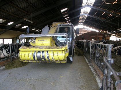 Carsten feeds a mixed ration on his farm near Kassel. Photo: Chris McCullough Carsten feeds a mixed ration on his farm near Kassel. Photo: Chris McCullough