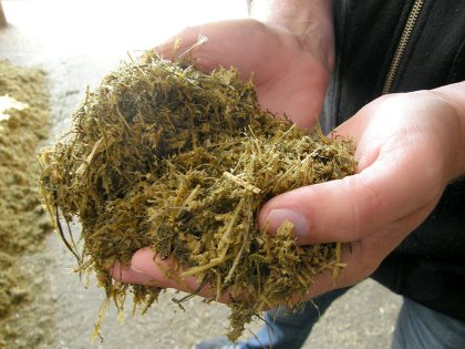 Carsten added water to his silage to increase the moisture content. Photo: Chris McCullough Carsten added water to his silage to increase the moisture content. Photo: Chris McCullough