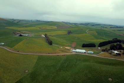 Clay based soils make up the farm which receives 820mm of rain per year. Photo: Chris McCullough Clay based soils make up the farm which receives 820mm of rain per year. Photo: Chris McCullough