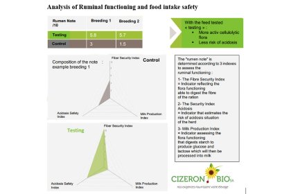 Protein valorisation for better digestion in ruminants Protein valorisation for better digestion in ruminants