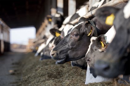 Photo: Cargill Europe Photo: Cargill Europe