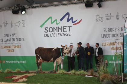 Sommet De L'elevage 2019. Photo: Zana van Dijk Sommet De L'elevage 2019. Photo: Zana van Dijk