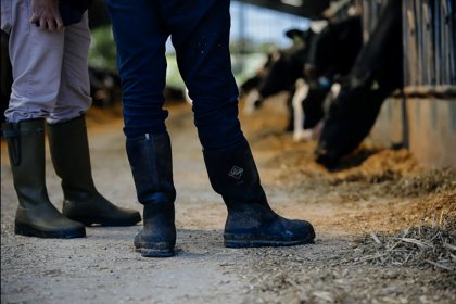 A new InTouch service allows UK dairy and beef farmers to benefit from independent nutritional advice and support, free of charge. Photo: Alltech A new InTouch service allows UK dairy and beef farmers to benefit from independent nutritional advice and support, free of charge. Photo: Alltech