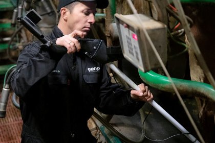 Geno researcher Øyvind Nordbø with the udder scanner. Photo: Christian Breidlid. Geno researcher Øyvind Nordbø with the udder scanner. Photo: Christian Breidlid.