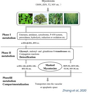 Source: Trouw Nutrition Source: Trouw Nutrition