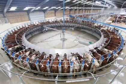 Photo: DairyMaster Photo: DairyMaster