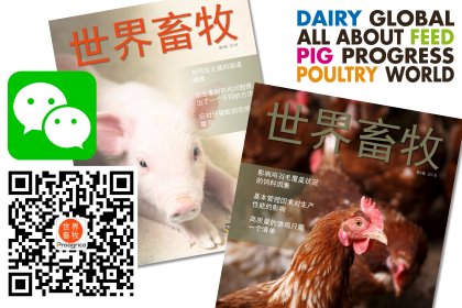 Dairy Global celebrates its WeChat launch in China Dairy Global celebrates its WeChat launch in China