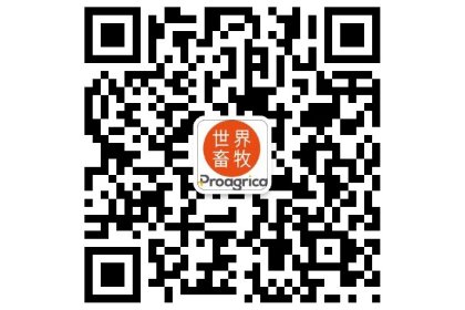 Dairy Global celebrates its WeChat launch in China Dairy Global celebrates its WeChat launch in China