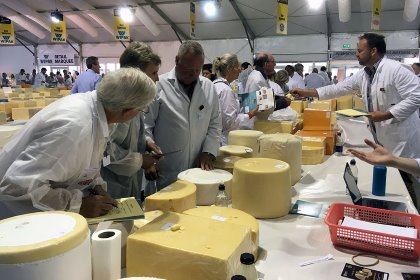 The standard of entries received just gets better and better, according to Chris Chisnall, Chairman of the International Cheese and Dairy Awards. Photo: Melanie Epp The standard of entries received just gets better and better, according to Chris Chisnall, Chairman of the International Cheese and Dairy Awards. Photo: Melanie Epp
