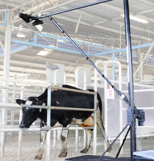 John used commercial off-the-shelf Microsoft Kinect 3D cameras, mounted at the exit of a rotary milking platform. Photo: John Gardenier John used commercial off-the-shelf Microsoft Kinect 3D cameras, mounted at the exit of a rotary milking platform. Photo: John Gardenier
