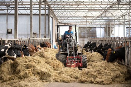 To assess potential rodent damage on a farm, it is important to estimate the rodent population. Photo: Mark Pasveer To assess potential rodent damage on a farm, it is important to estimate the rodent population. Photo: Mark Pasveer