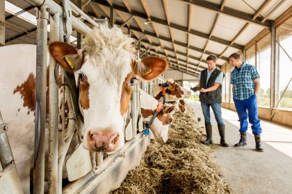 Photo: Trouw Nutrition Photo: Trouw Nutrition