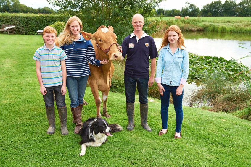Katharine and Jason Salisbury with their children James and Emily, Edd the sheepdog and one of their pedigree Guernsey cows. Photo: Salisbury family