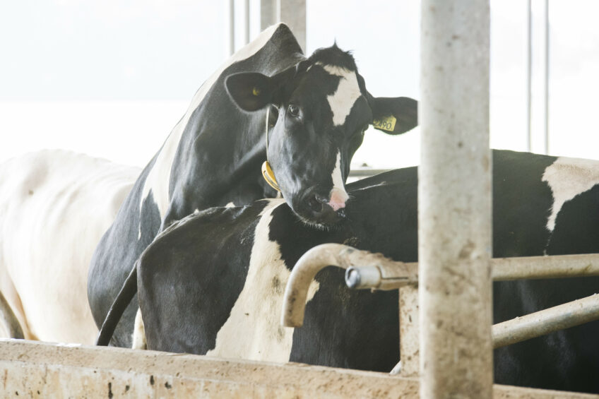 Six tips to turn up the heats . Photo: Nedap