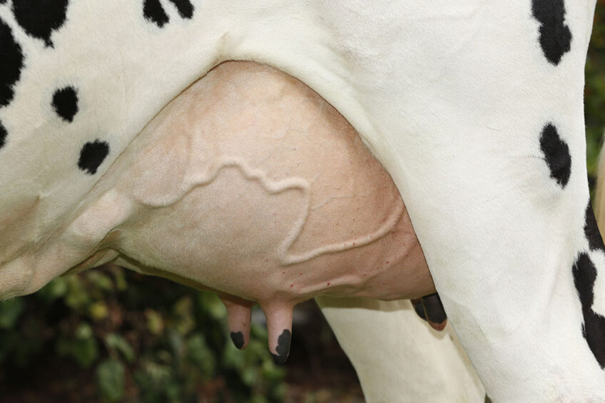 "With the ability to use DSCC as an addition to SCC we add new measures to better tackle mastitis, says Dr Schwarz dairy farming senior specialist at FOSS Analytical. Photo: Henk Riswick