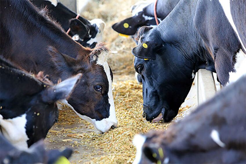 The PPR approach to mycotoxin threats