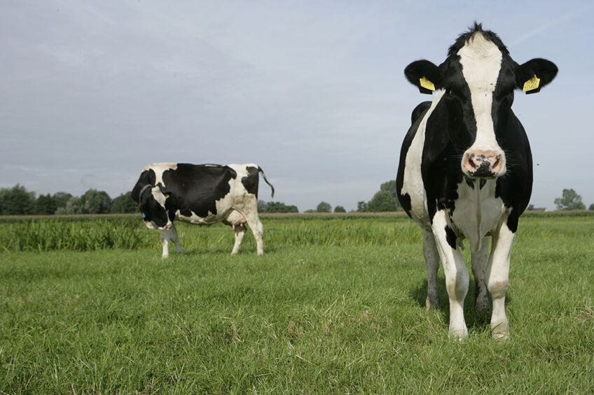 Digital Dairy Value-Chain will help to deliver more jobs in the sector, alongside stimulating research and innovation to support our farmers to develop their businesses. Importantly, it will also help to decarbonise the industry, says Professor Wayne Powell, Principal and Chief Executive of SRUC. Photo: Michel Zoeter