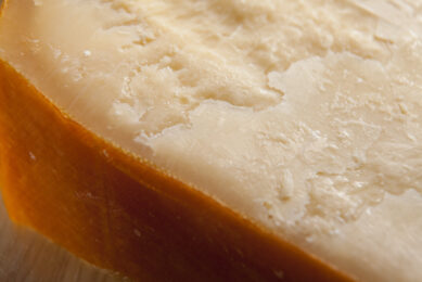 FrieslandCampina aquires 80% share of Italian Orange