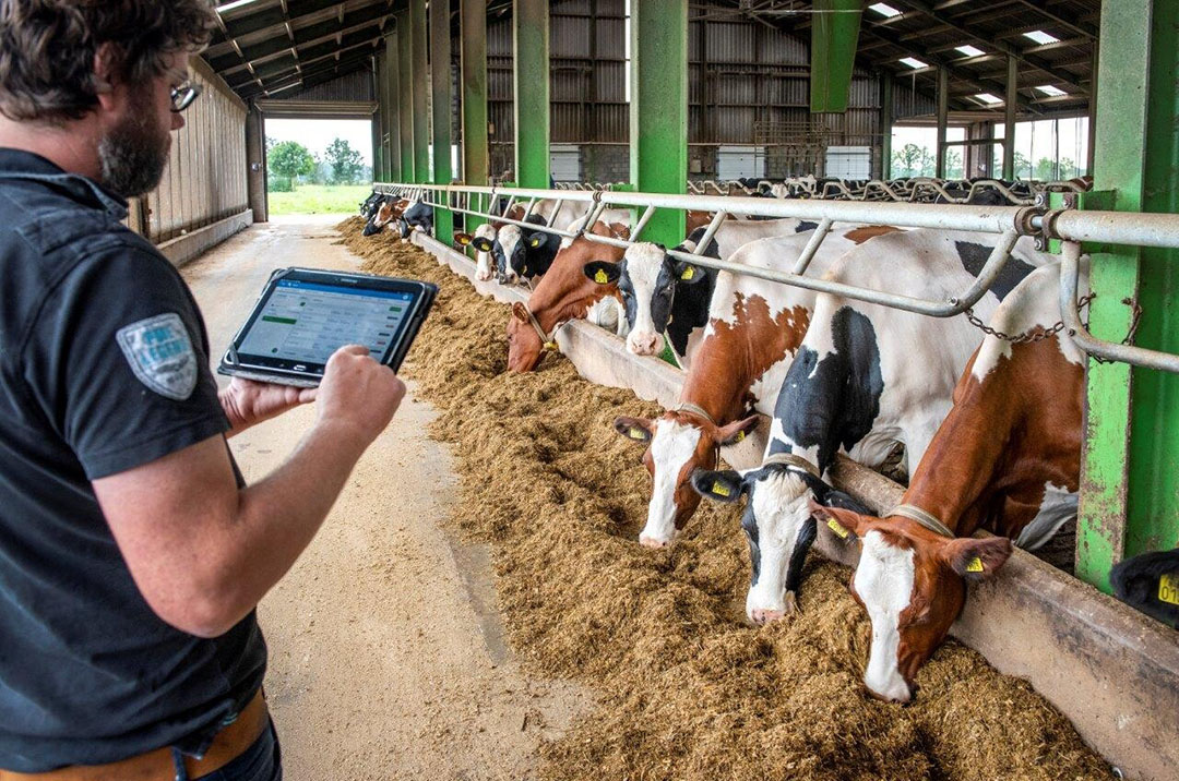 The TAP platform - the livestock farmer can quickly and conveniently enter and calculate rations, the loading sequence and, above all, quickly adjust the amount the dry matter content or the number of animals. Photo: Bas van Hattum