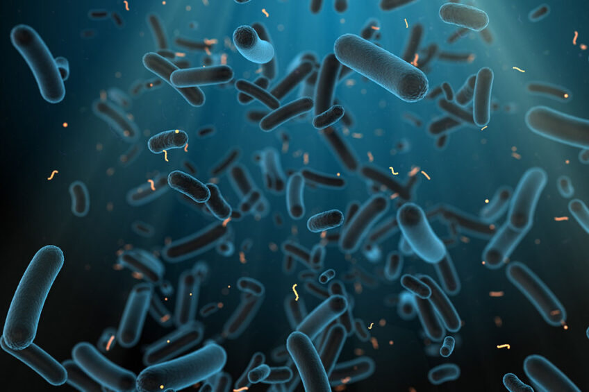 The gut microbiota has numerous roles benefiting the host, such as digestion, production of vitamins and maintenance of normal functions of the intestinal villi. Photo: Immersion Imagery