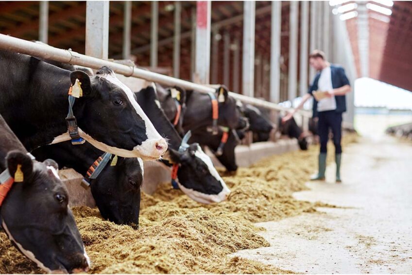 At the end of October 2023 there were a total of 7,500 dairy farmers remaining in England, Scotland and Wales, which shows a decline of -4.5% compared to the same period the previous year. Photo: Canva