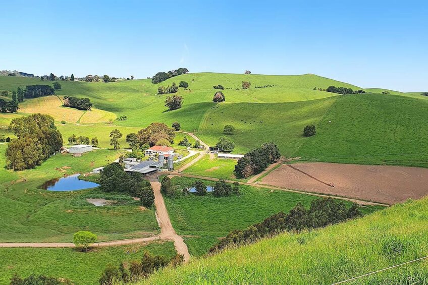 Brian's farm has its own challenges sitting in the rolling hills of Victoria in Australia. Photos: Chris McCullough