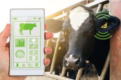 The dairy industry is adopting new technological revolution including augmented reality, infrared thermography, Internet of Things, artificial intelligence, electronic 3D motion detectors, deep learning, 5G technology, and cloud computing to detect mastitis. Photos: Canva