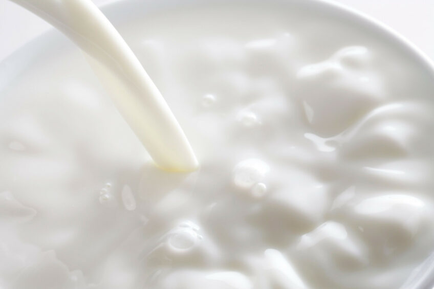 <i class="">Australian dairy farmers have been hit with a farmgate milk price cut from major processors. Photo: Canva<span class=""> </span></i>
