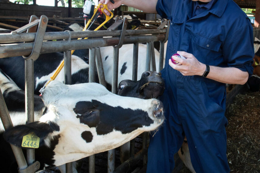 To try and mitigate the impact of the disease the Welsh government says vaccination is key to unlock animal movements. Photo: Hans Banus