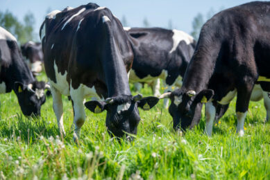 The climate-friendly dairy farm is firmly integrated into the supply chain so that the reductions in CO2e can be transparently tracked from the farm right through to the product. Photo: Mark Pasveer