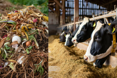 Can food waste and animal manure can be converted into valuable volatile fatty acids that can be used as a substrate to cultivate protein-rich fungal biomass, which can be used to produce animal feed? Photo: This image was created with the help of AI (Reve.art)