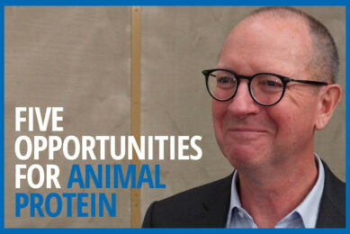 VIDEO: 5 future opportunities for the animal protein sector 