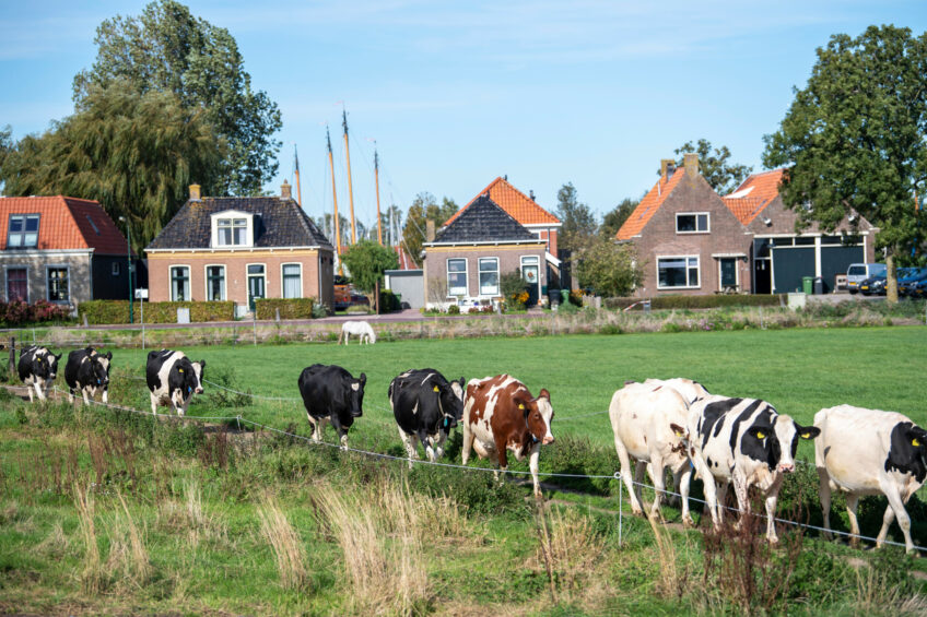 A notable participant is Sodiaal Union, the largest French dairy farmer cooperative, with approximately 15,000 members throughout France. Photo: Mark Pasveer