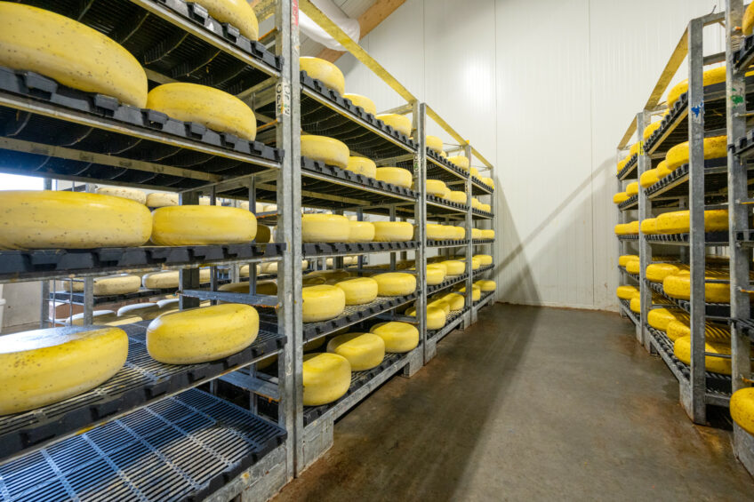 Cheese needs to survive the December trade unscathed as price pressure is forecasted on most dairy products. Photo: Cor Salverius Fotografie